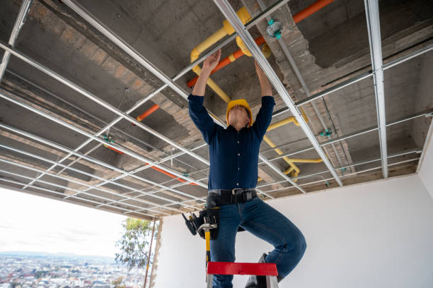 Best Commercial Plumbing Services  in Bourbon, MO