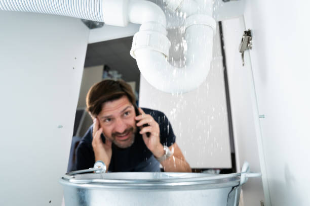 Best Plumbing Services Near Me  in Bourbon, MO